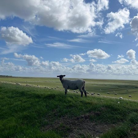Frieda - Ferienwohnung Mit Deichblick Friedrichskoog Luaran gambar